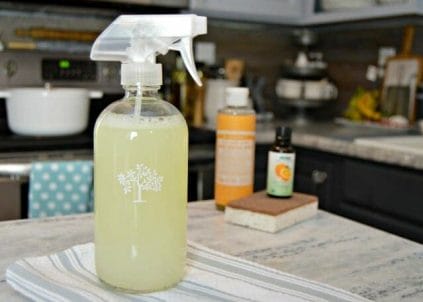 Using home made grease cleaner to avoid chemicals