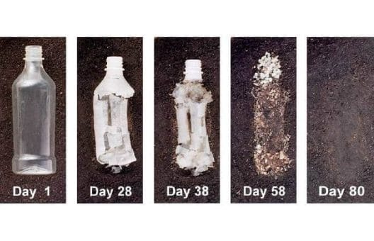 Biodegradable plastic